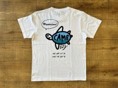 画像1: 宮古島カメ - Tシャツ (1)