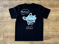 画像1: 宮古島カメ - Tシャツ (1)