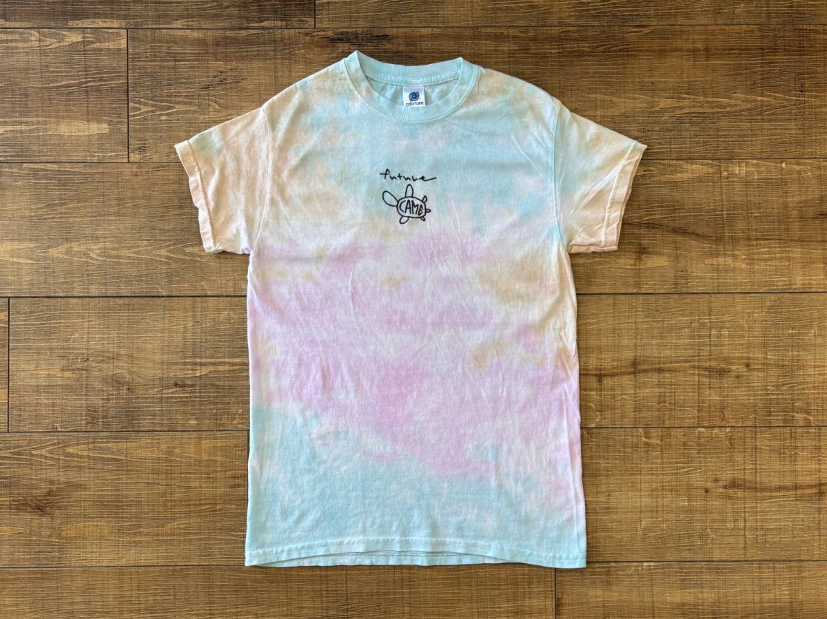 画像1: 刺繍カメ - Tシャツ (1)