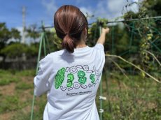 画像3: 光る13周年ゴーヤ - Tシャツ (3)