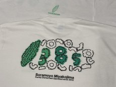 画像4: 光る13周年ゴーヤ - Tシャツ (4)