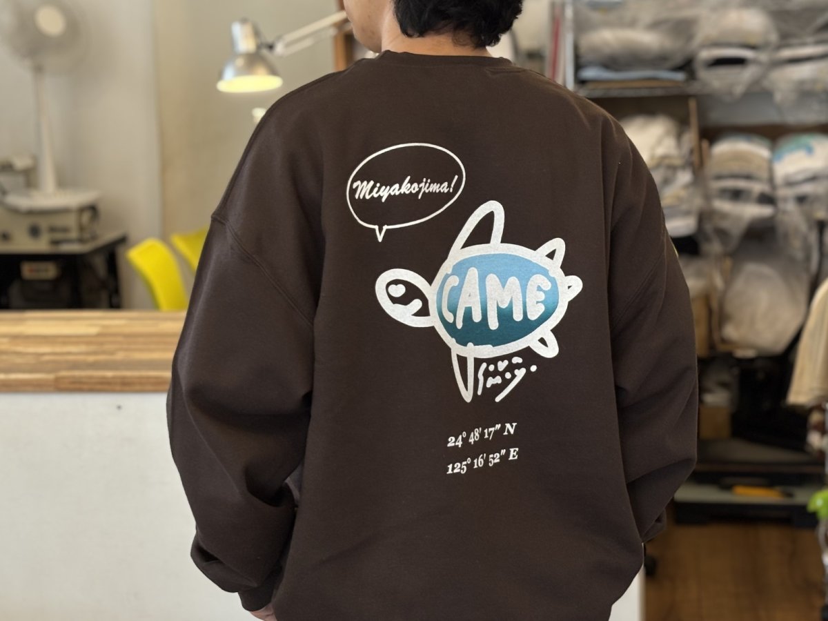 画像3: 宮古島カメ - スウェットシャツ (3)